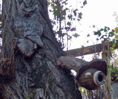 Прикрепленное изображение: DSCF6228d.jpg